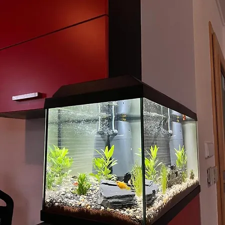 Relaxklub S Wellness דירה *