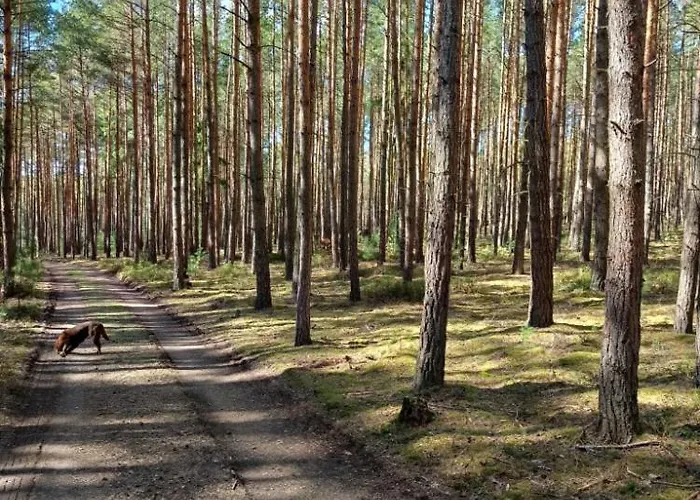 Relaxklub S Wellness Tremosna